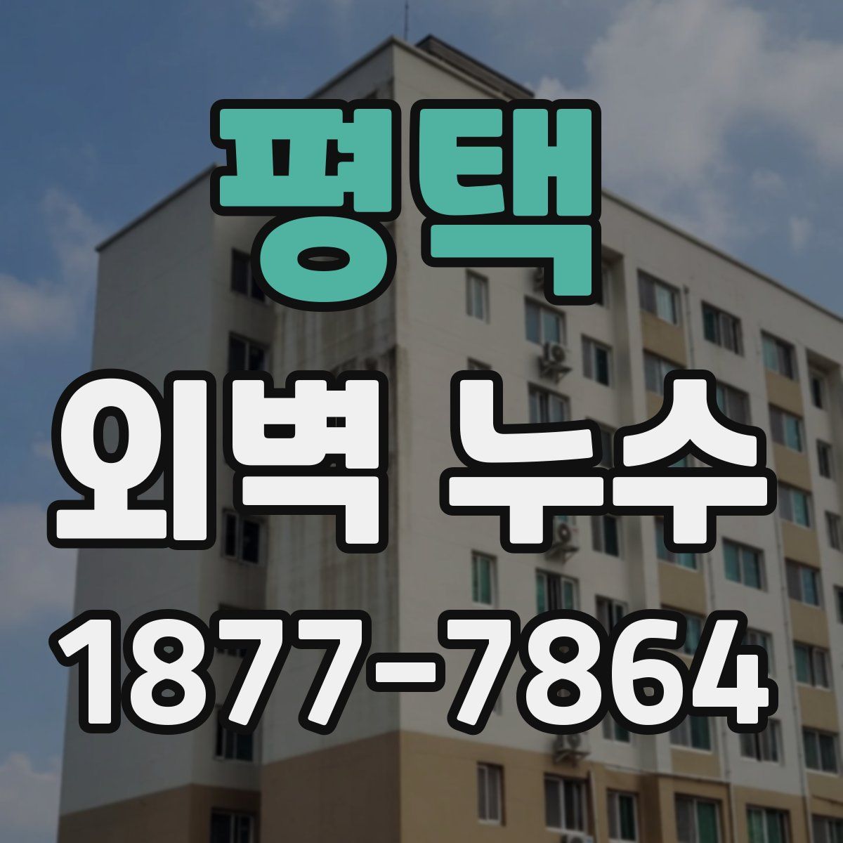 평택 외벽 누수