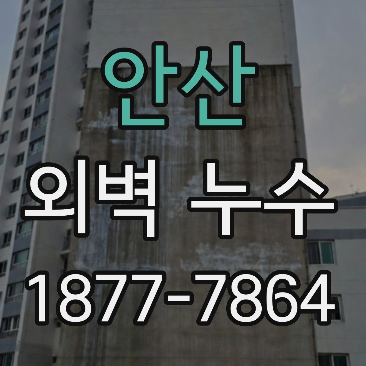안산 외벽 누수 관리에 필요한 정기 점검