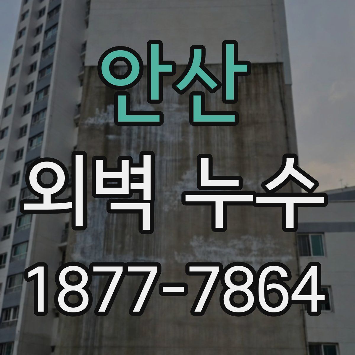 안산 외벽 누수