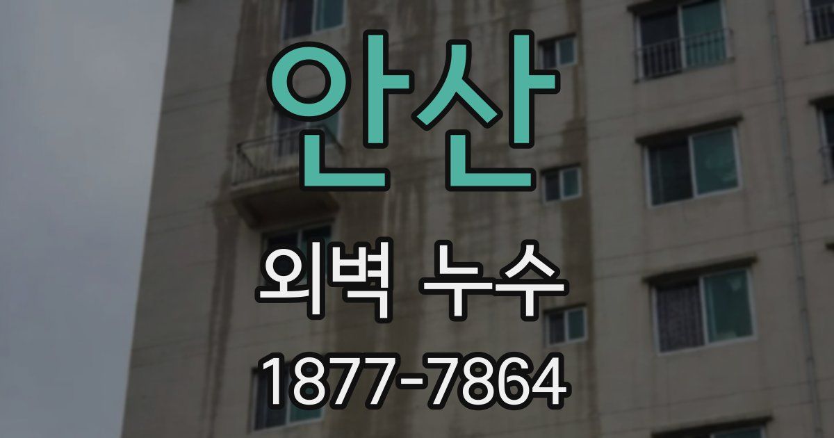 안산 외벽 누수