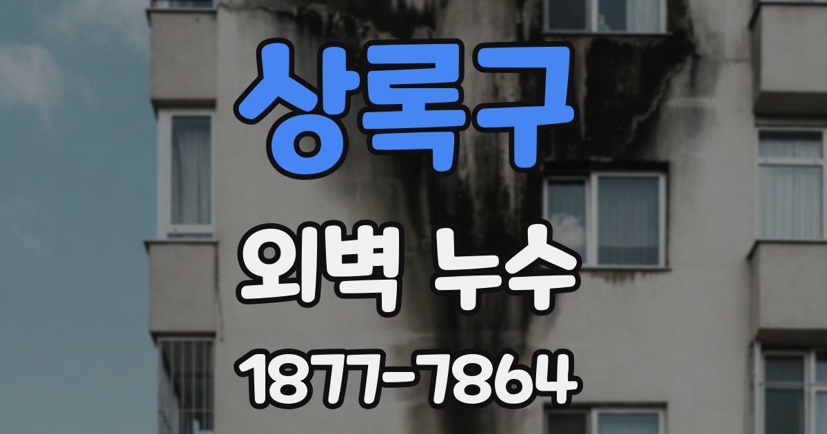 상록구 외벽 누수