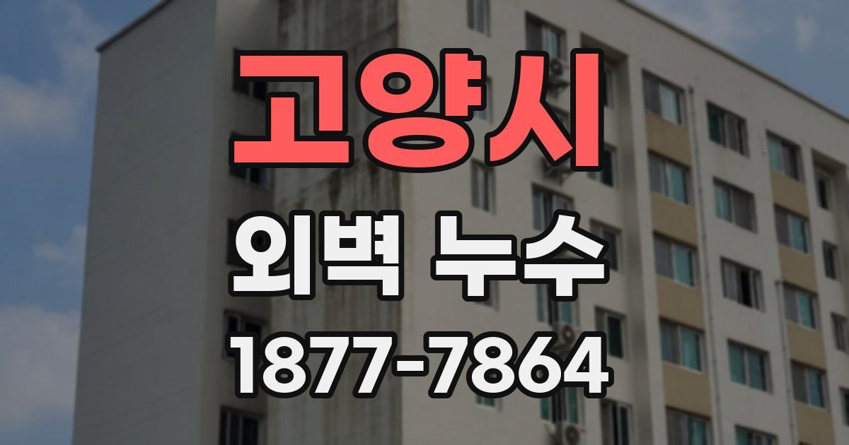 고양시 외벽 누수