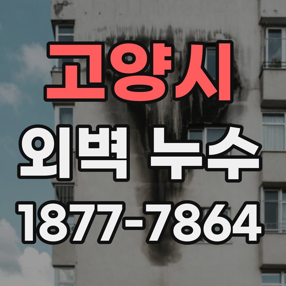 고양시 외벽 누수