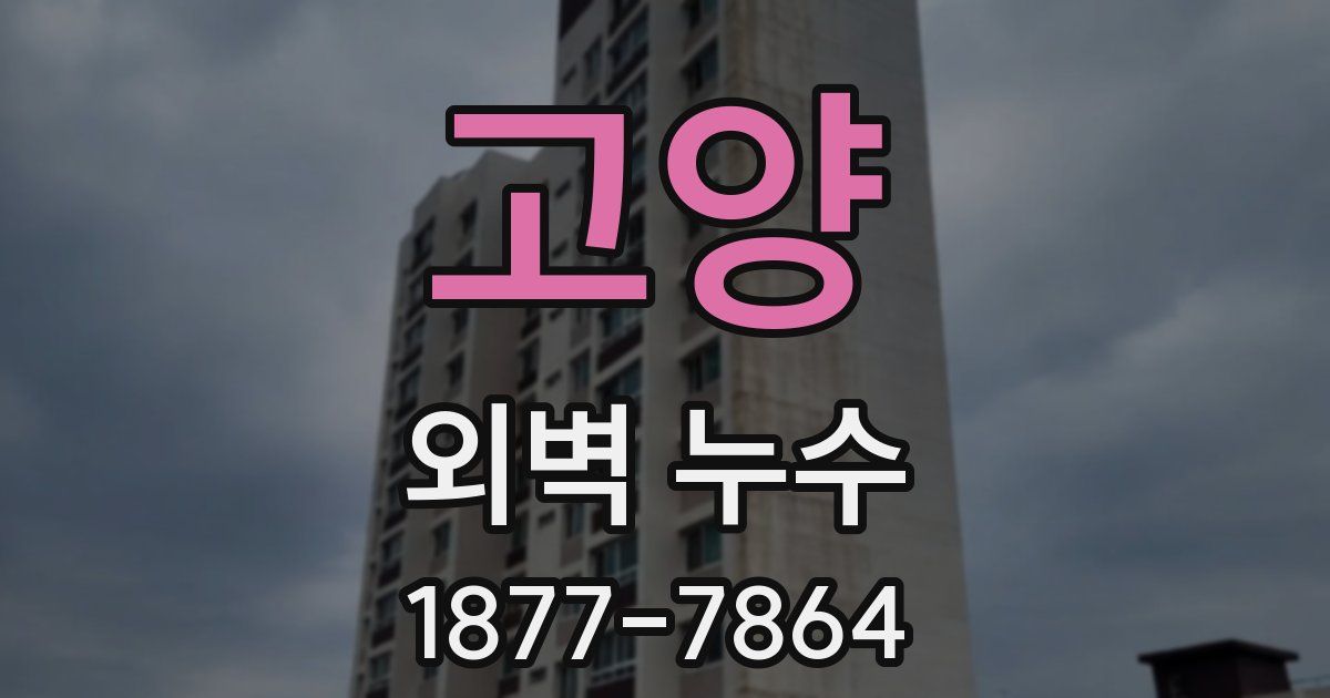 고양 외벽 누수