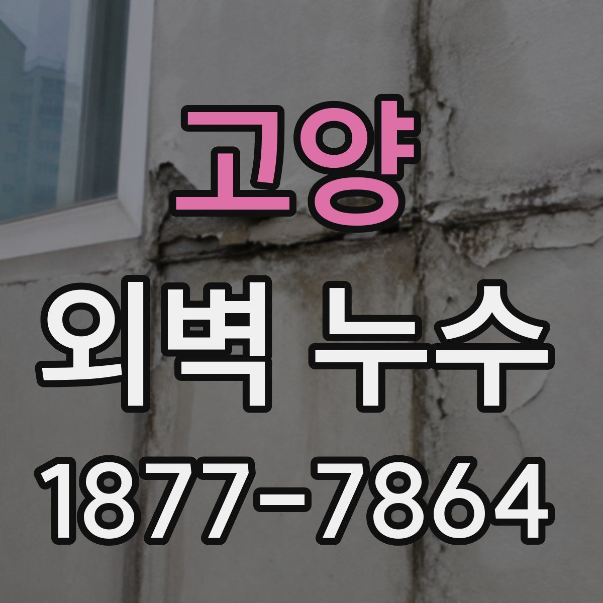 고양 외벽 누수