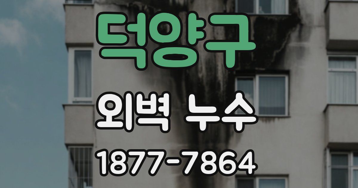 덕양구 외벽 누수