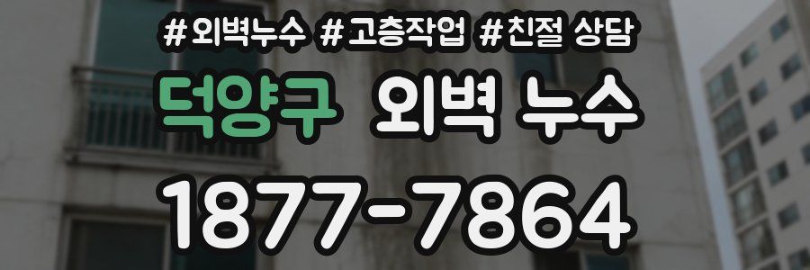 덕양구 외벽 누수