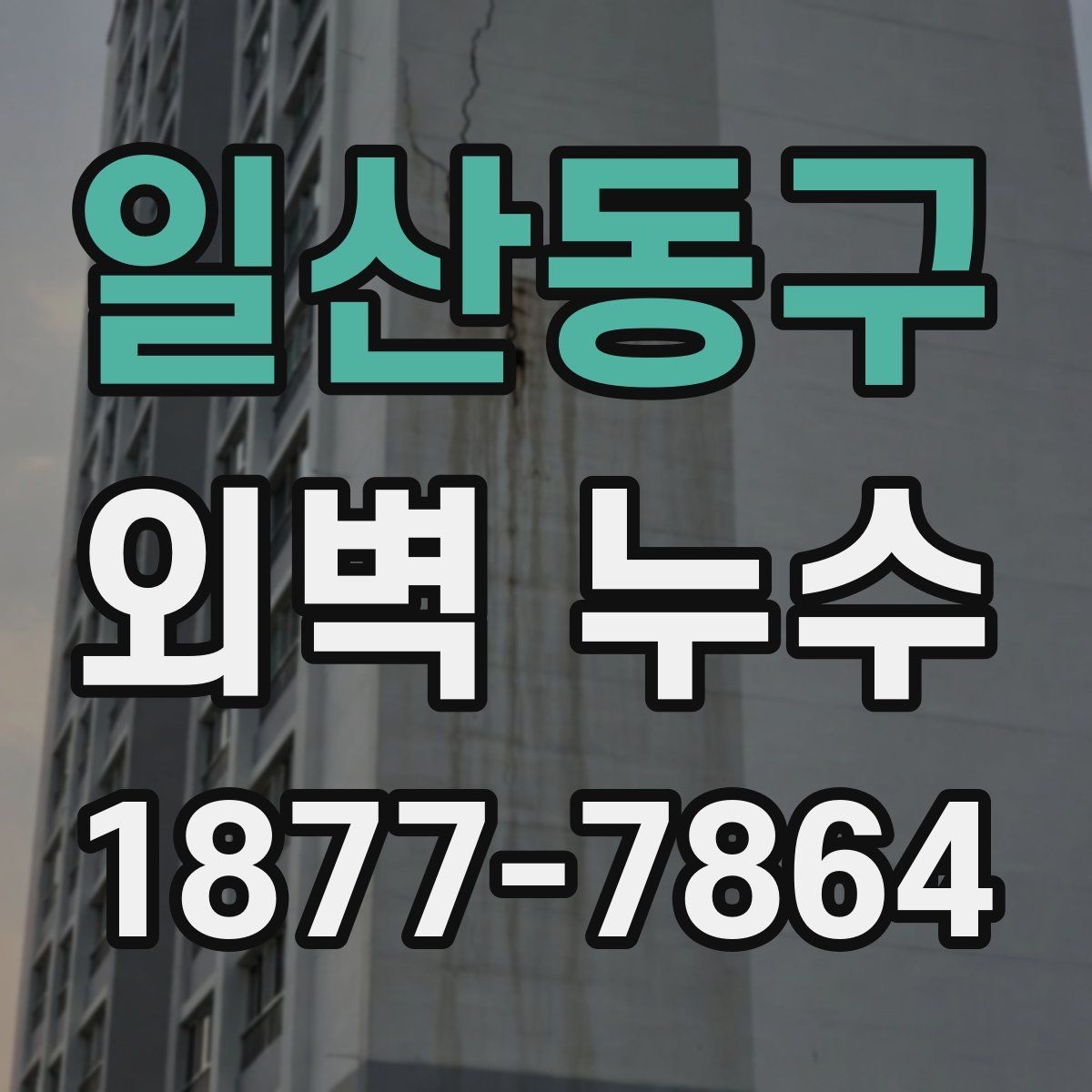 일산동구 외벽 누수 점검은 어떤 순서로 진행할까