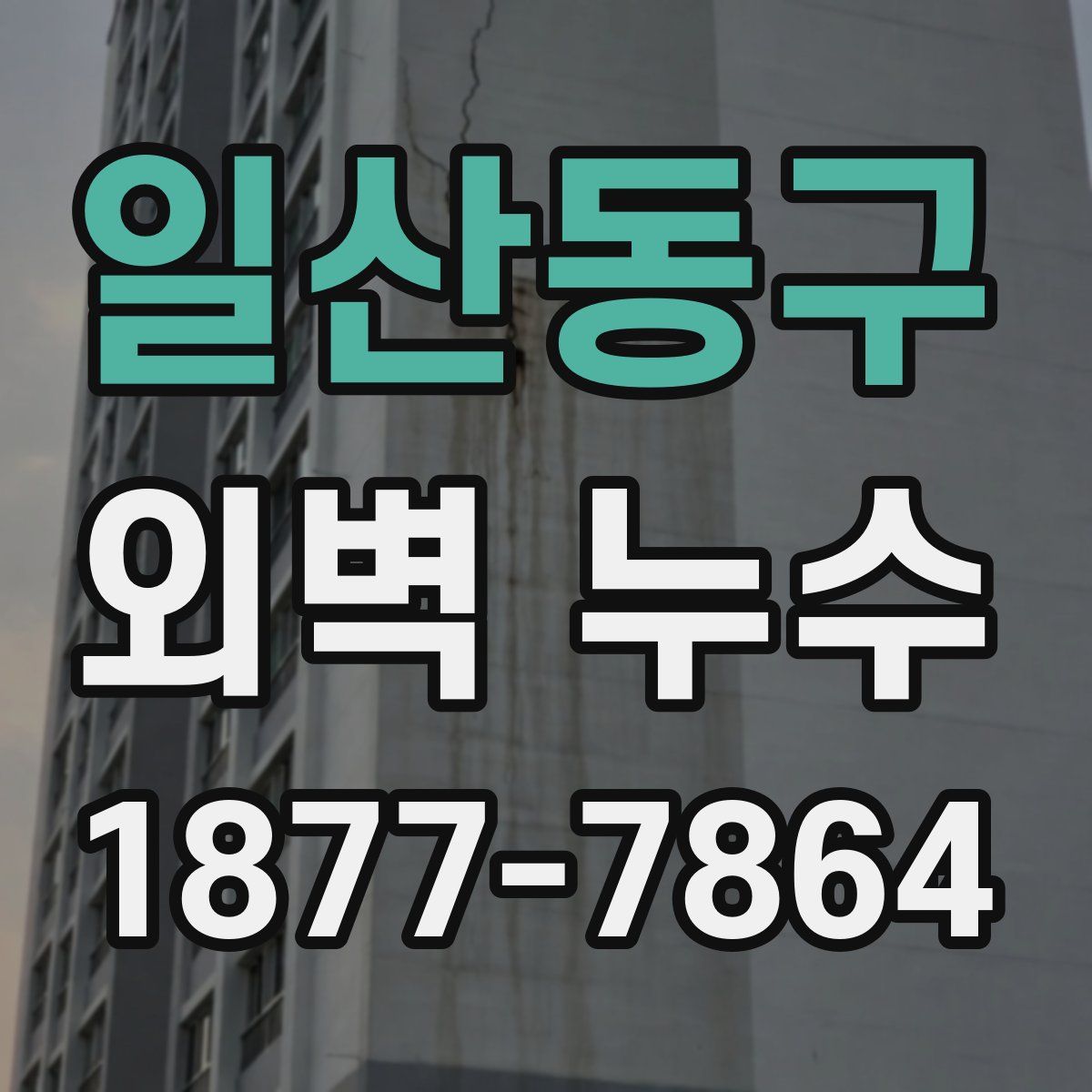 일산동구 외벽 누수