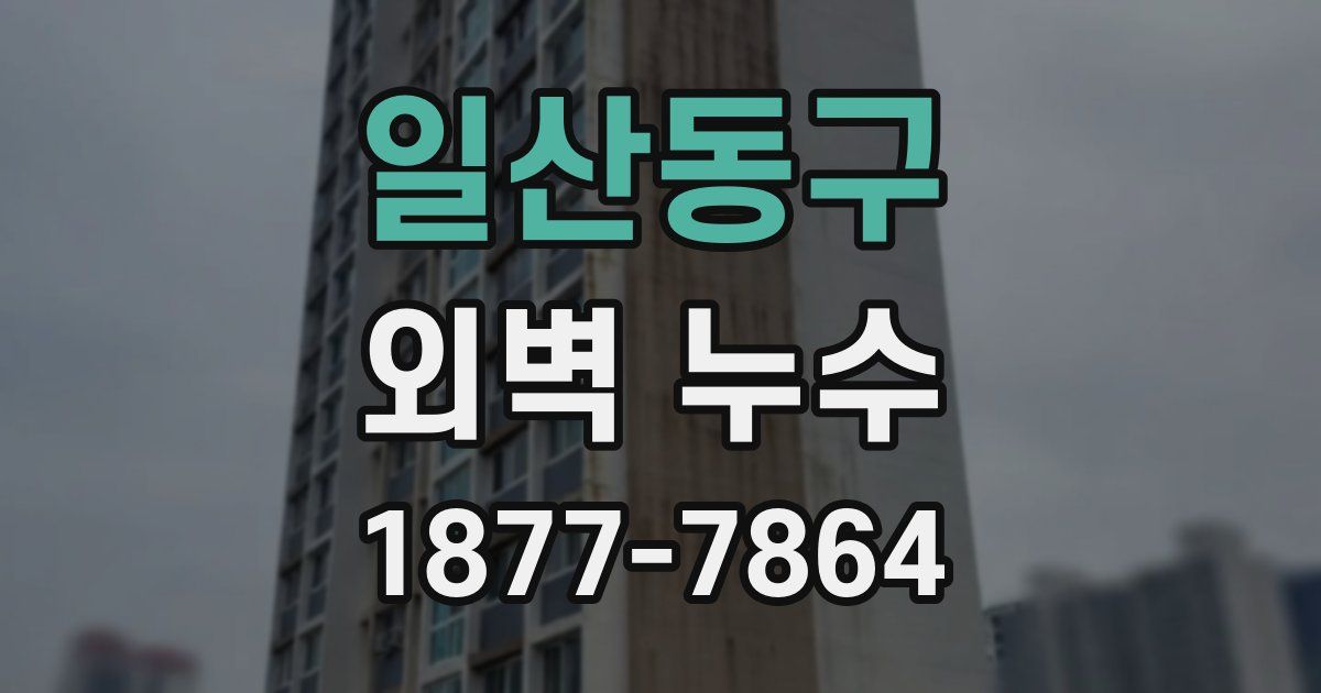 일산동구 외벽 누수