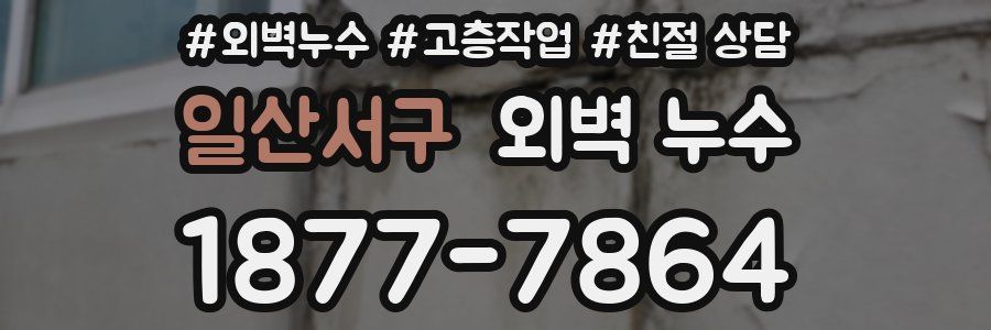 일산서구 외벽 누수
