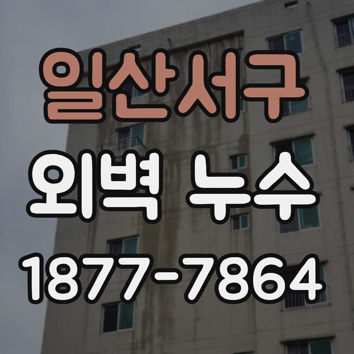 일산서구 외벽 누수