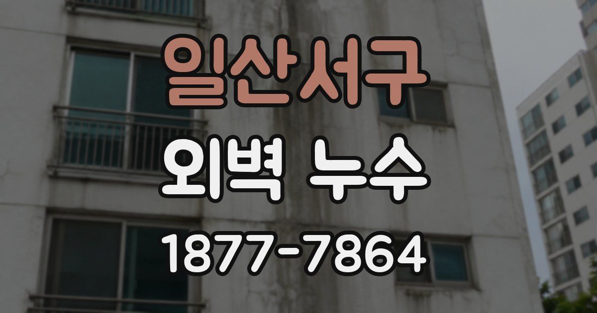 일산서구 외벽 누수