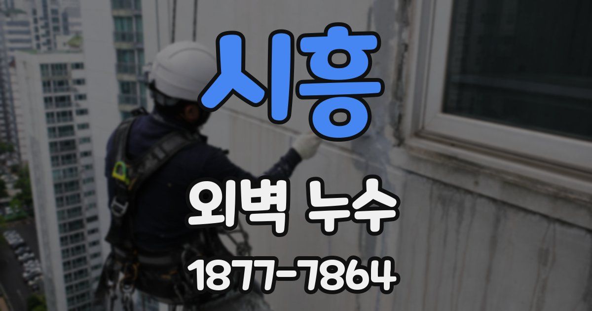 시흥 외벽 누수