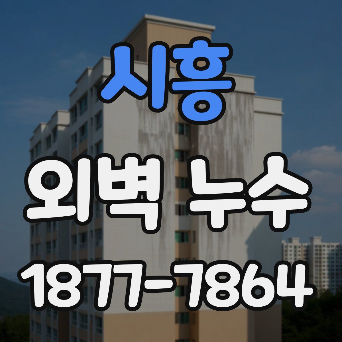 시흥 외벽 누수