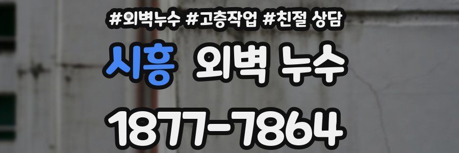 시흥 외벽 누수