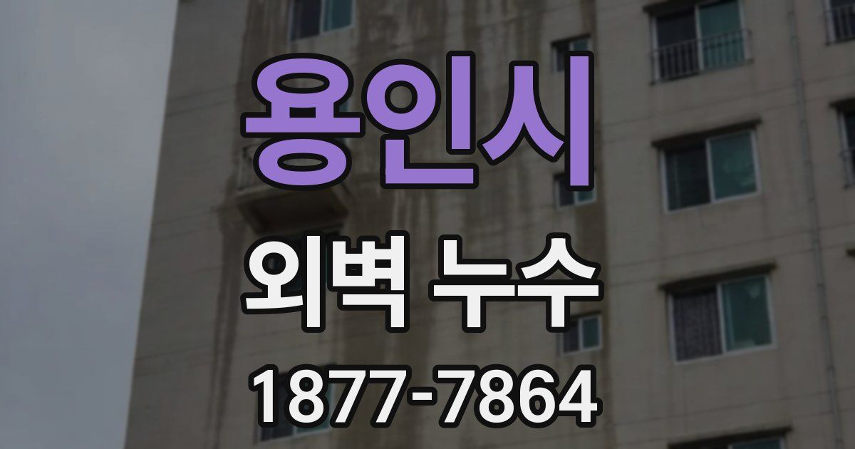 용인시 외벽 누수
