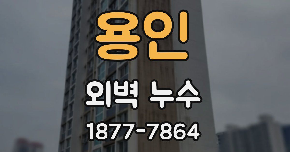 용인 외벽 누수