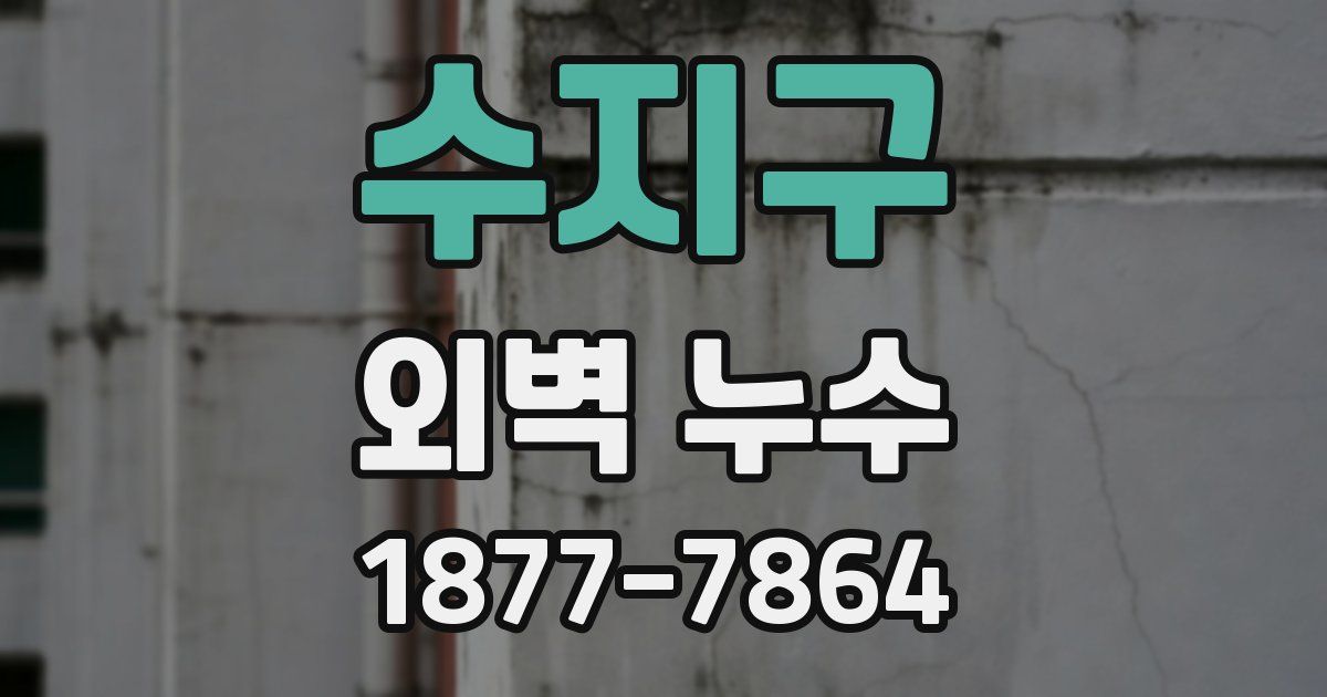 수지구 외벽 누수