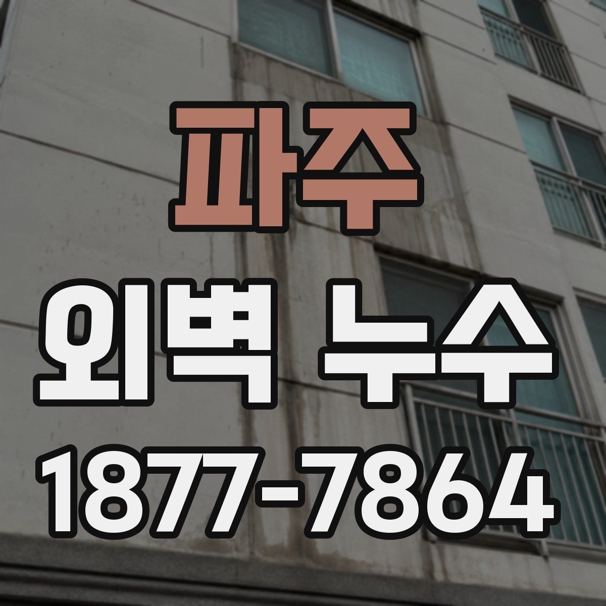 파주 외벽 누수 해결을 위한 현장 조사 내용