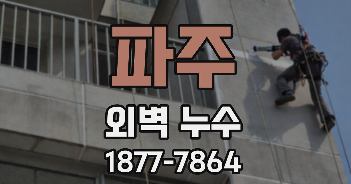 파주 외벽 누수