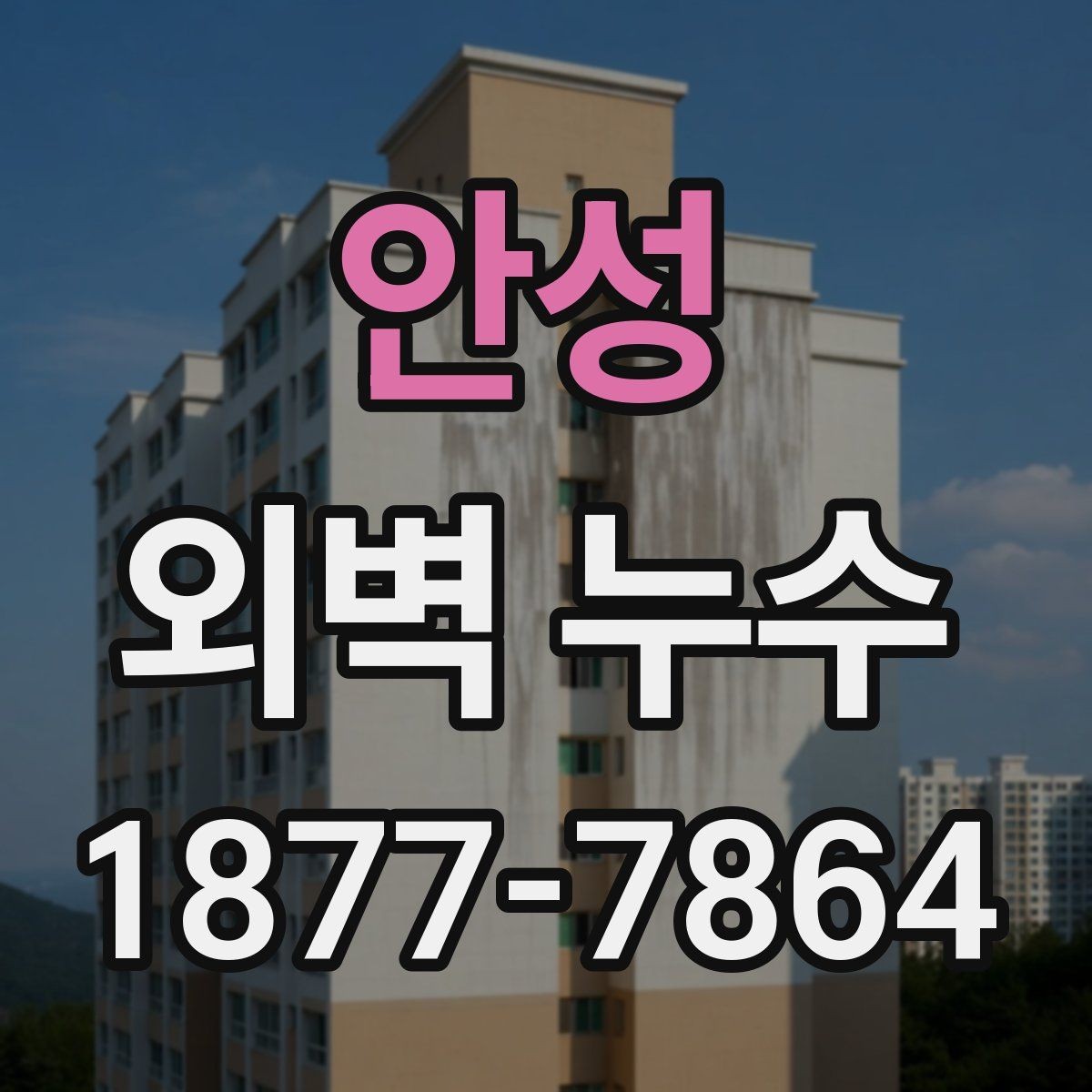 안성 외벽 누수 예방과 점검을 함께 하는 방법