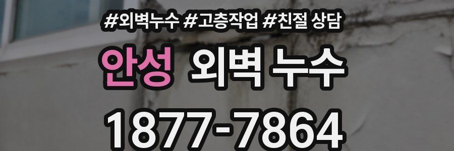 안성 외벽 누수