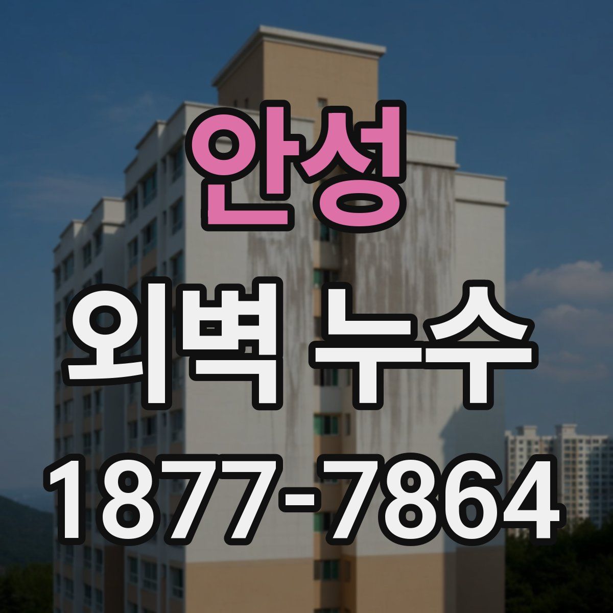 안성 외벽 누수