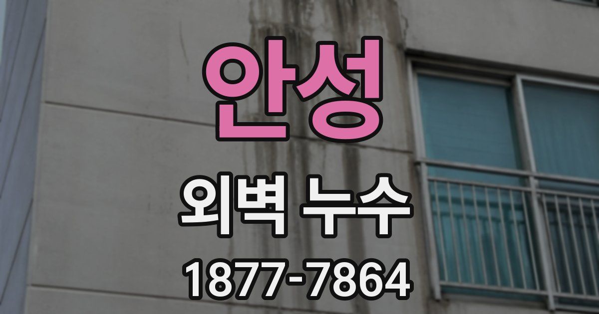 안성 외벽 누수