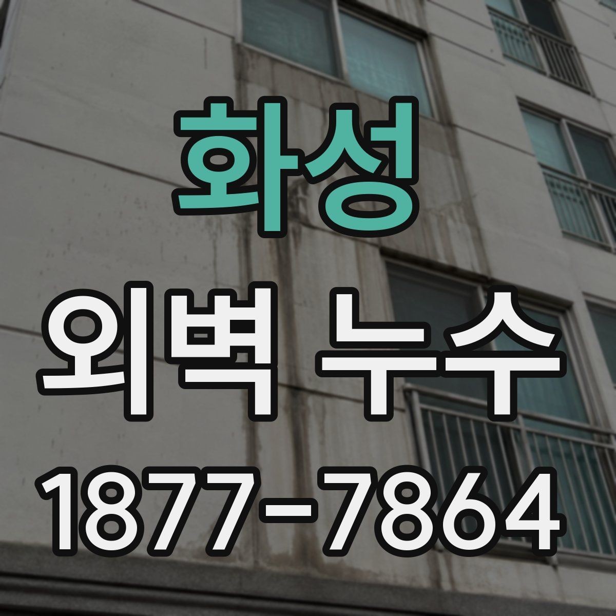 화성 외벽 누수 현장 점검에서 보는 부분
