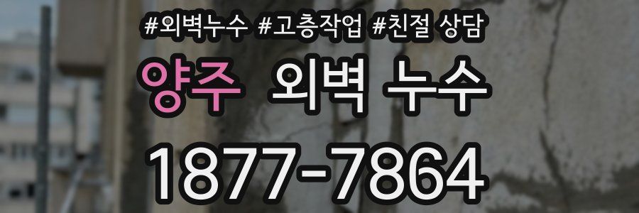 양주 외벽 누수