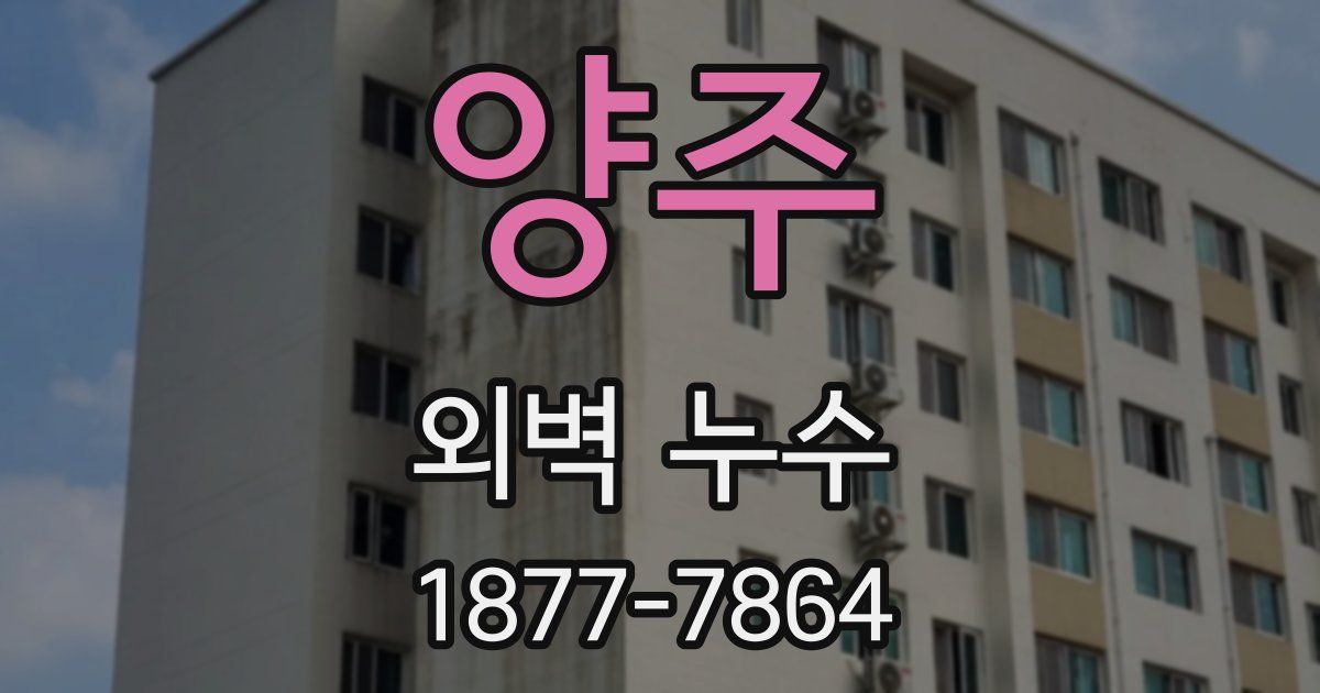 양주 외벽 누수