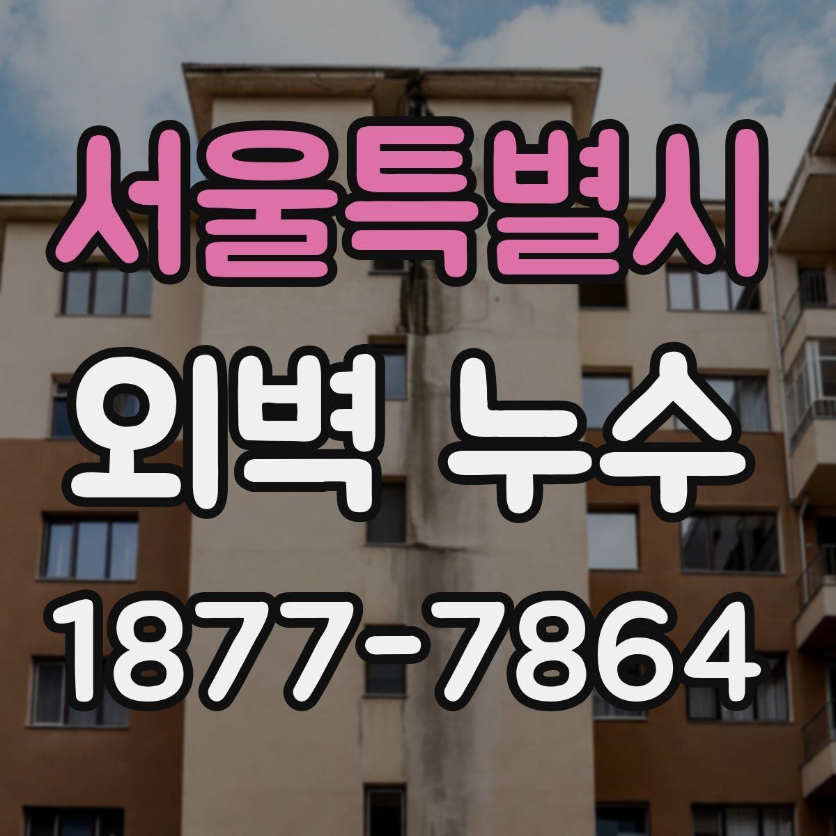 서울특별시 외벽 누수 보수 방법은 어떤 차이가 있을까