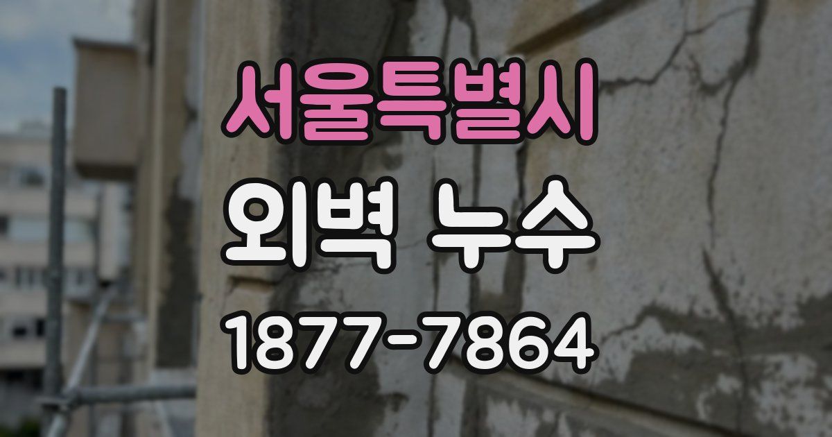 서울특별시 외벽 누수