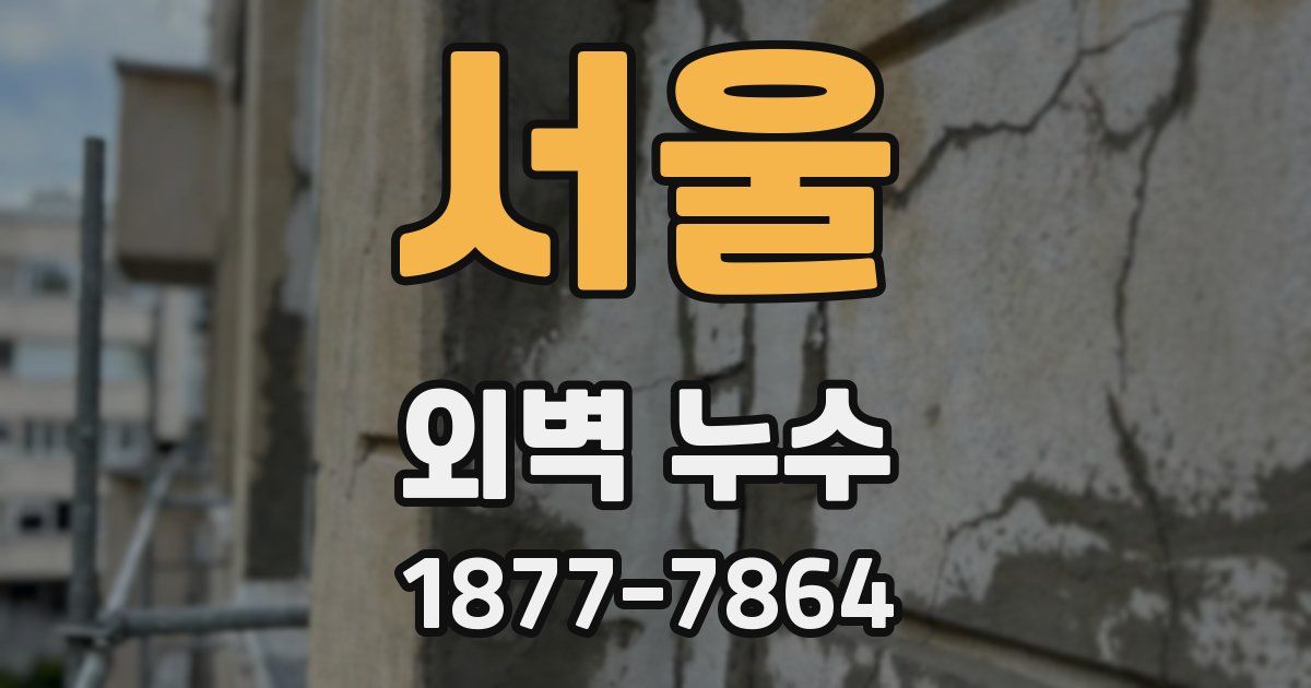 서울 외벽 누수