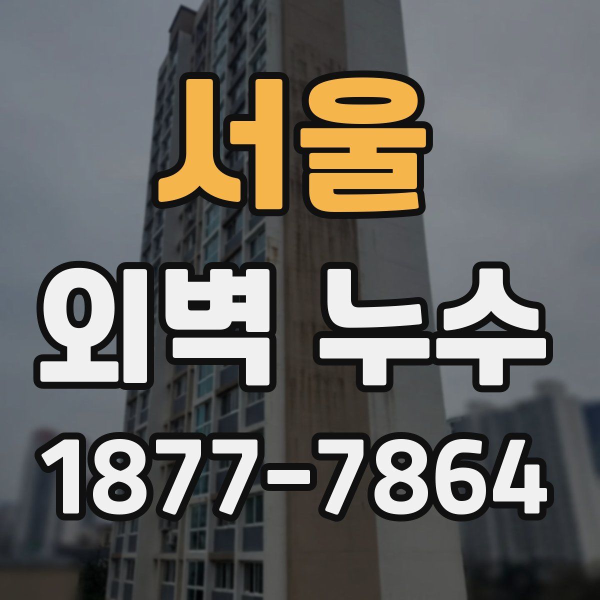 서울 외벽 누수