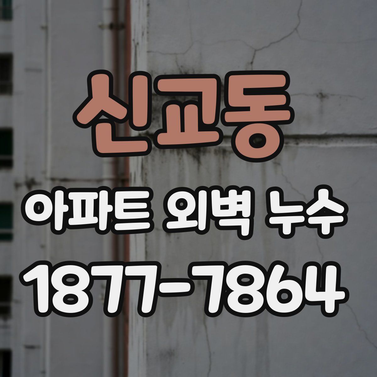 신교동 아파트 외벽 누수