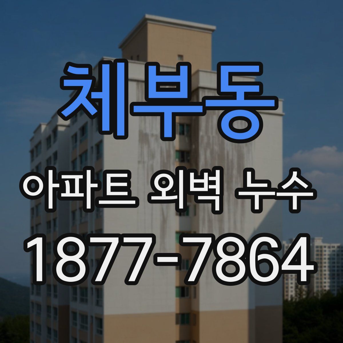 체부동 아파트 외벽 누수