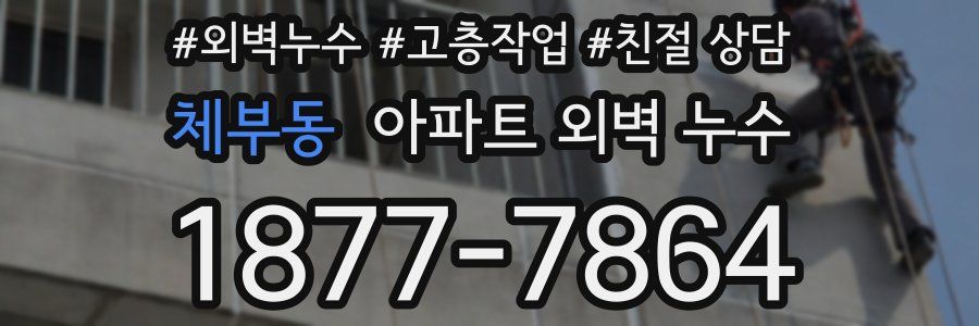체부동 아파트 외벽 누수