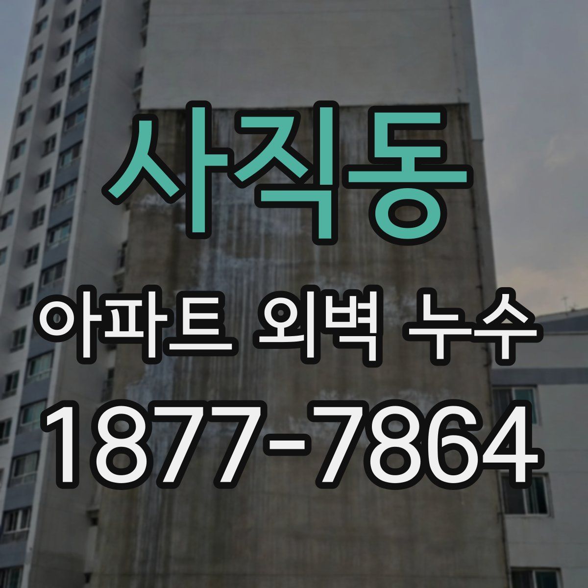 사직동 아파트 외벽 누수
