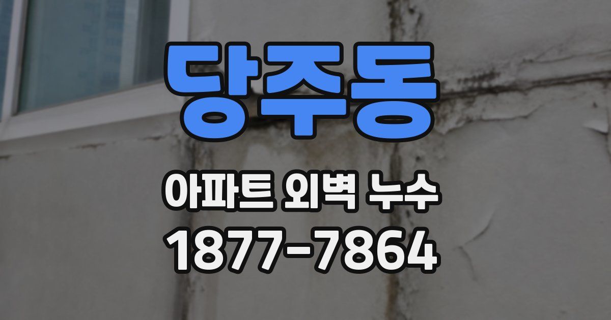 당주동 아파트 외벽 누수