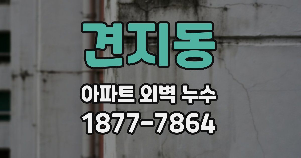 견지동 아파트 외벽 누수