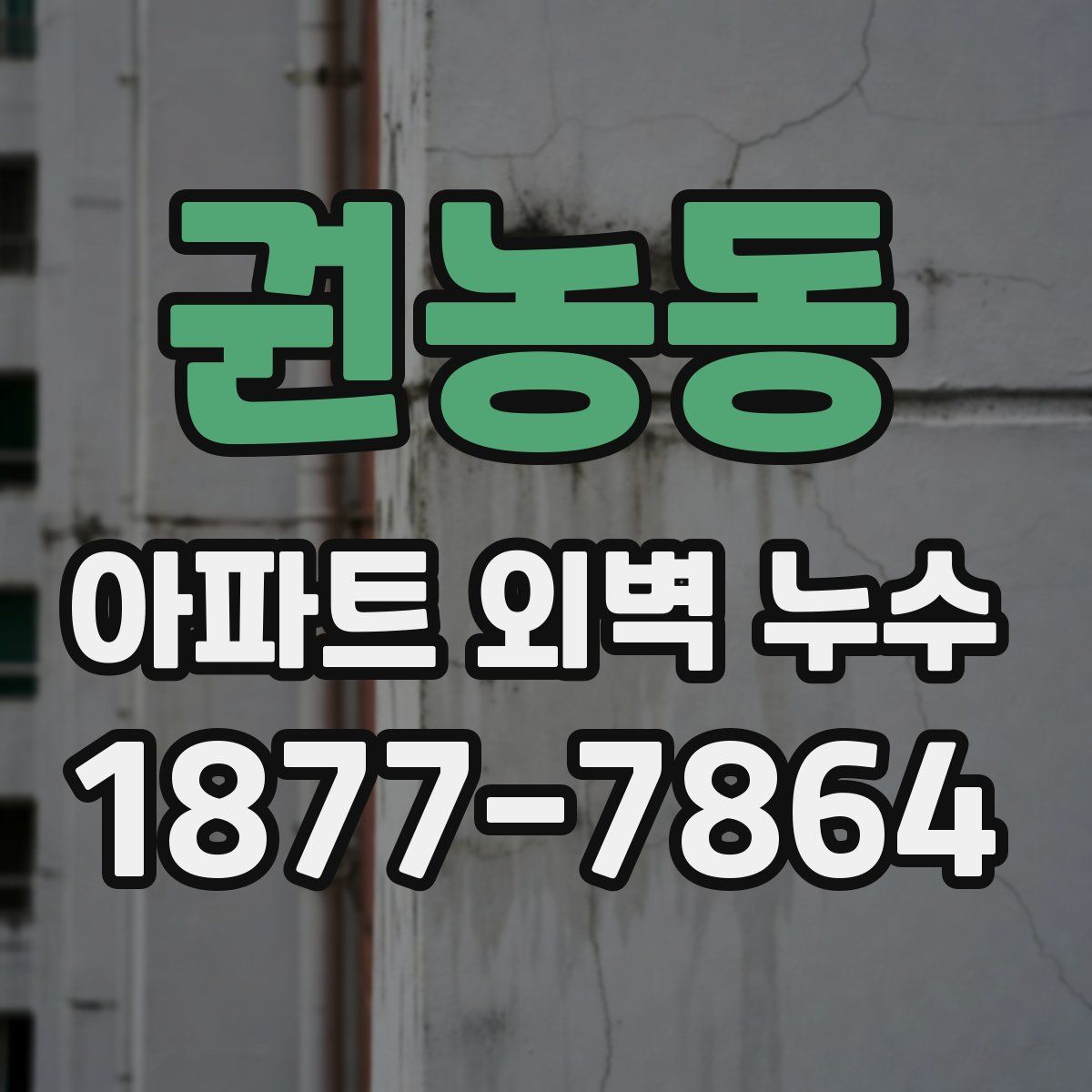 권농동 아파트 외벽 누수