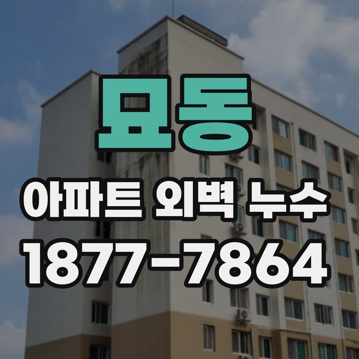 묘동 아파트 외벽 누수
