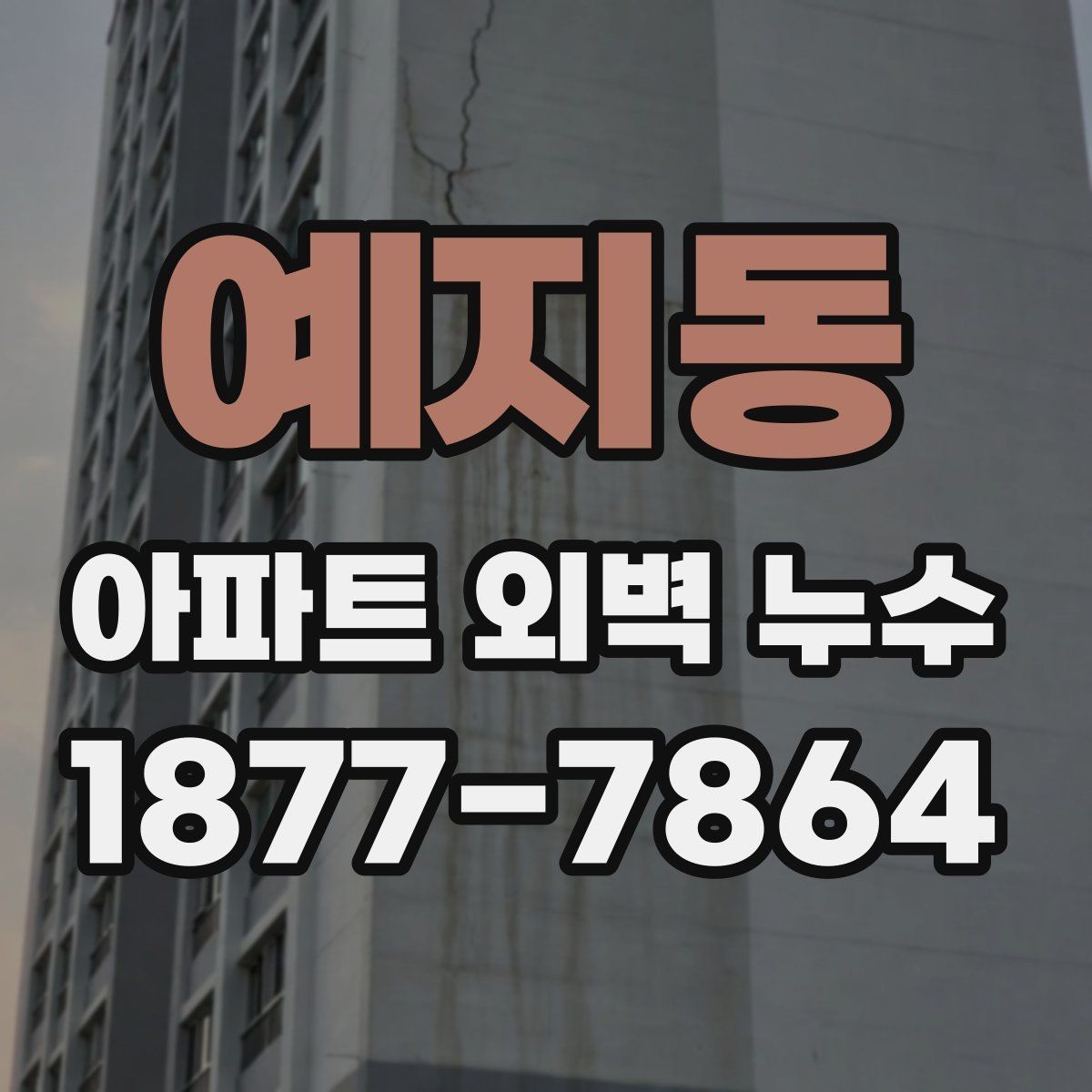 예지동 아파트 외벽 누수 보수 전 알아둘 기준