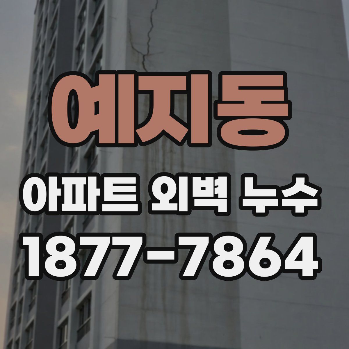 예지동 아파트 외벽 누수