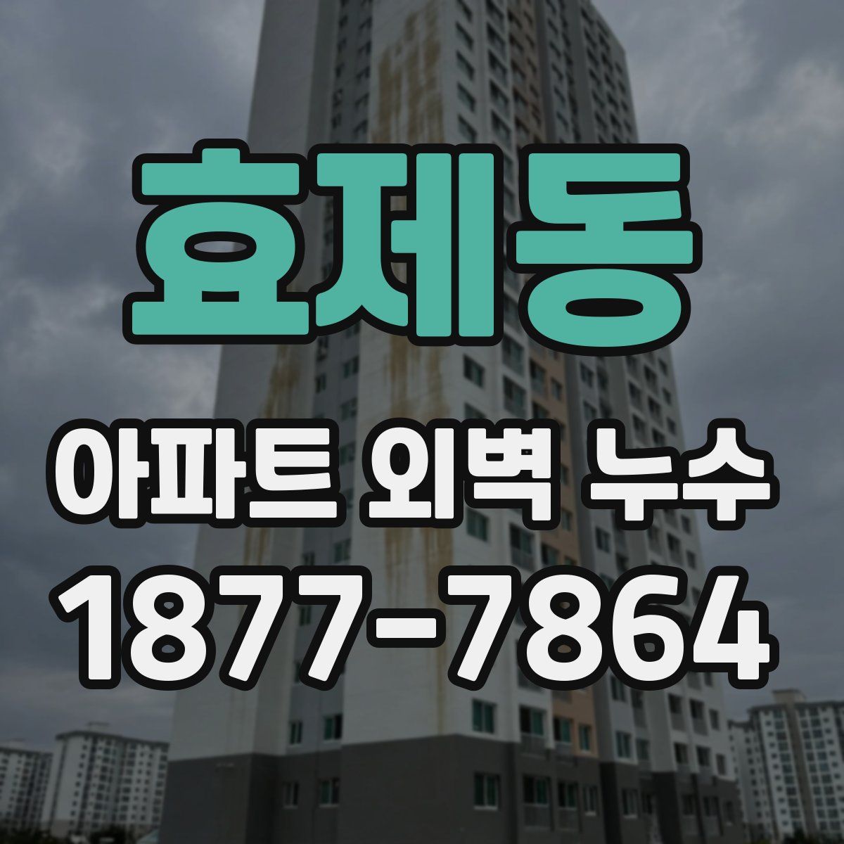 효제동 아파트 외벽 누수