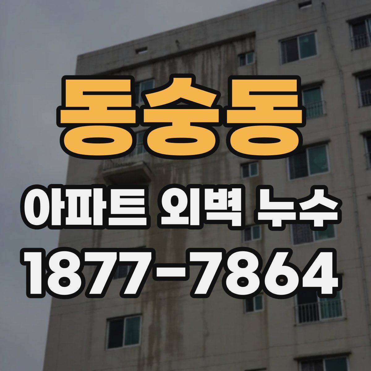 동숭동 아파트 외벽 누수