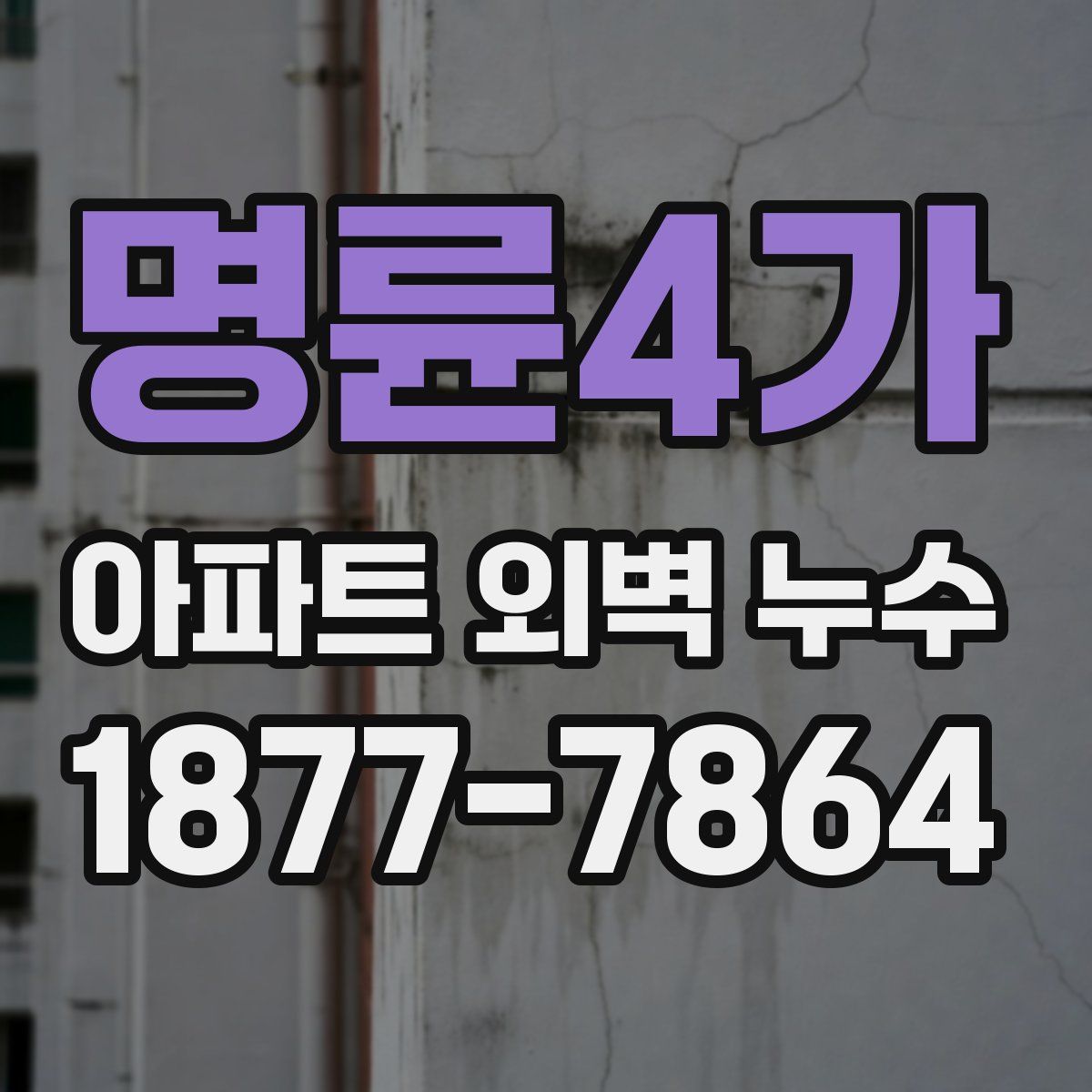 명륜4가 아파트 외벽 누수