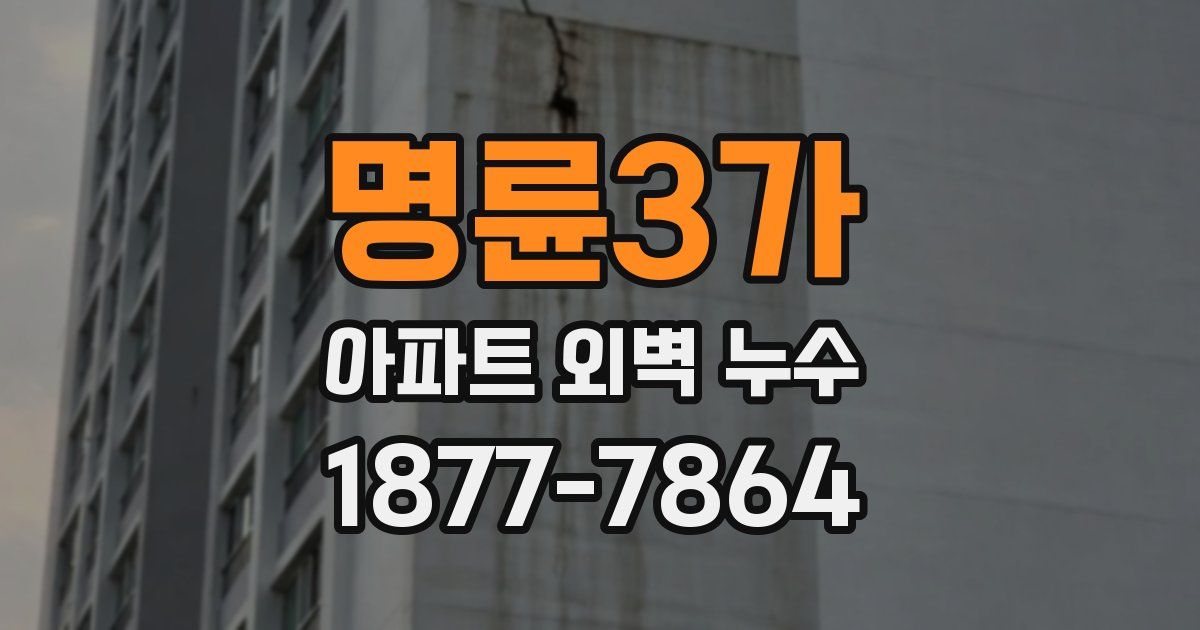 명륜3가 아파트 외벽 누수